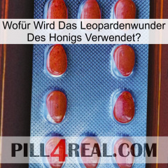 Wofür Wird Das Leopardenwunder Des Honigs Verwendet 06